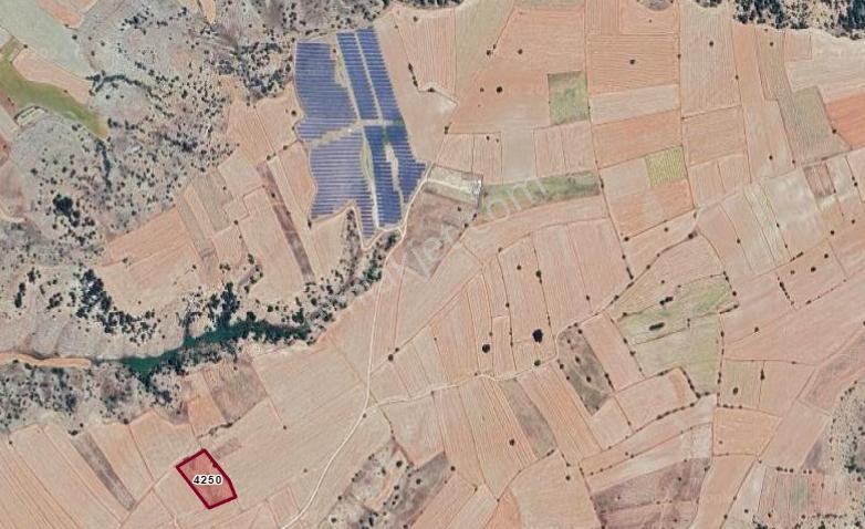 Burdur Kozluca'da Satılık Takasa Açık Tek Tapu 4500 M Tarla — fotoğraf 21