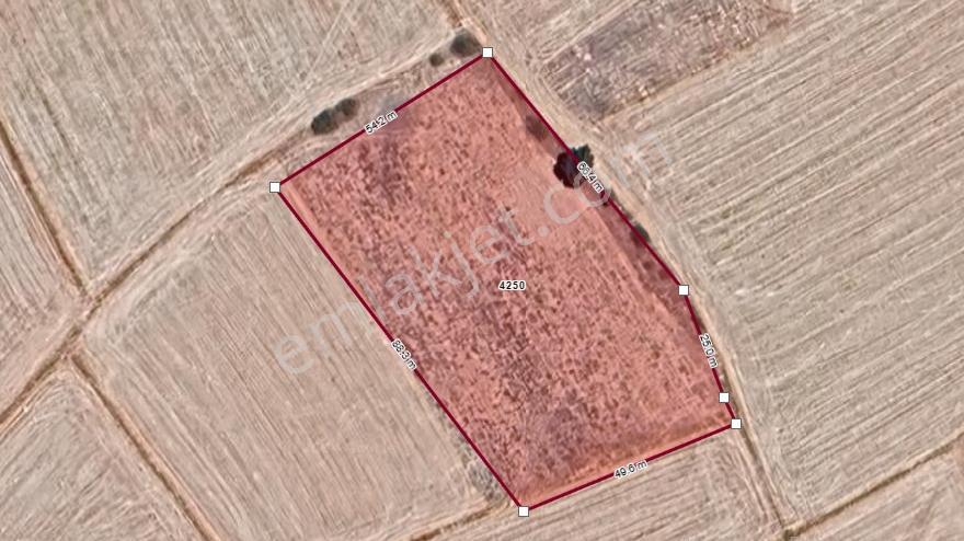 Burdur Kozluca'da Satılık Takasa Açık Tek Tapu 4500 M Tarla — fotoğraf 22