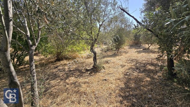 Karakuzu'da 5 Villalık %50 İmarlı 1562 M2 Satılık Fırsat Arsa — fotoğraf 14