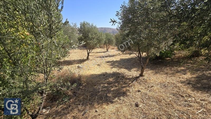 Karakuzu'da 5 Villalık %50 İmarlı 1562 M2 Satılık Fırsat Arsa — fotoğraf 15