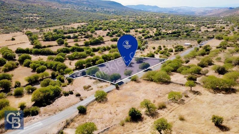 Aliağa Karakuzu Köyü Müstakil Parsel Satılık Tarla