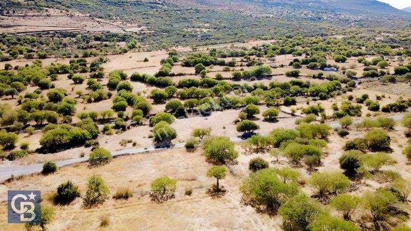 Aliağa Karakuzu Köyü Müstakil Parsel Satılık Tarla — fotoğraf 6