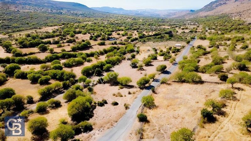 Aliağa Karakuzu Köyü Müstakil Parsel Satılık Tarla — fotoğraf 7
