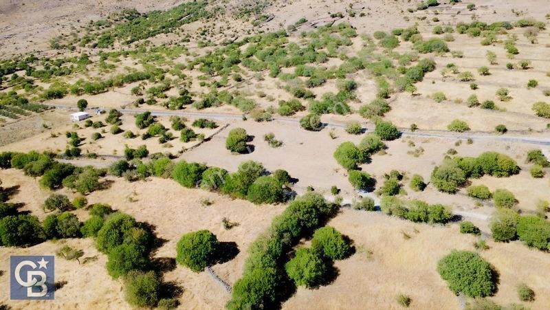 Aliağa Karakuzu Köyü Müstakil Parsel Satılık Tarla — fotoğraf 8