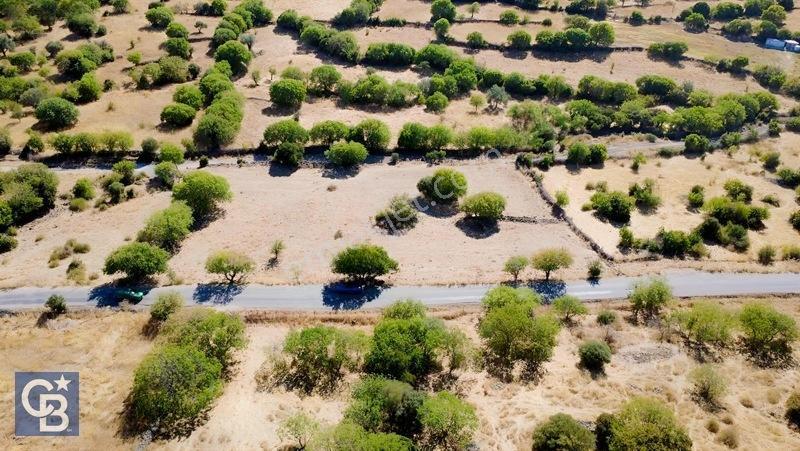 Aliağa Karakuzu Köyü Müstakil Parsel Satılık Tarla — fotoğraf 10