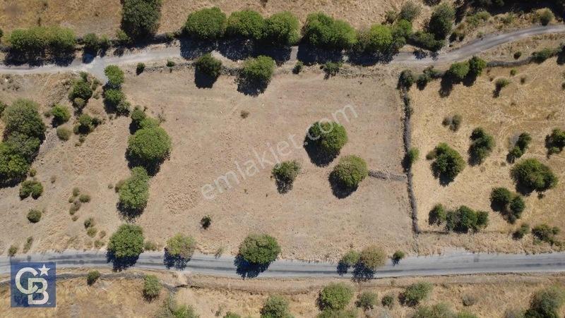 Aliağa Karakuzu Köyü Müstakil Parsel Satılık Tarla — fotoğraf 11