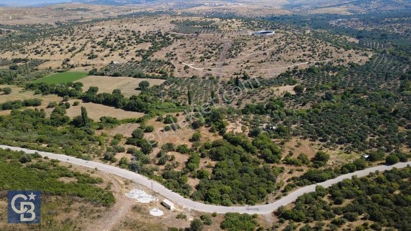 Kalabakta Tek Tapu 2122m2 Satılık Zeytinlik — fotoğraf 2