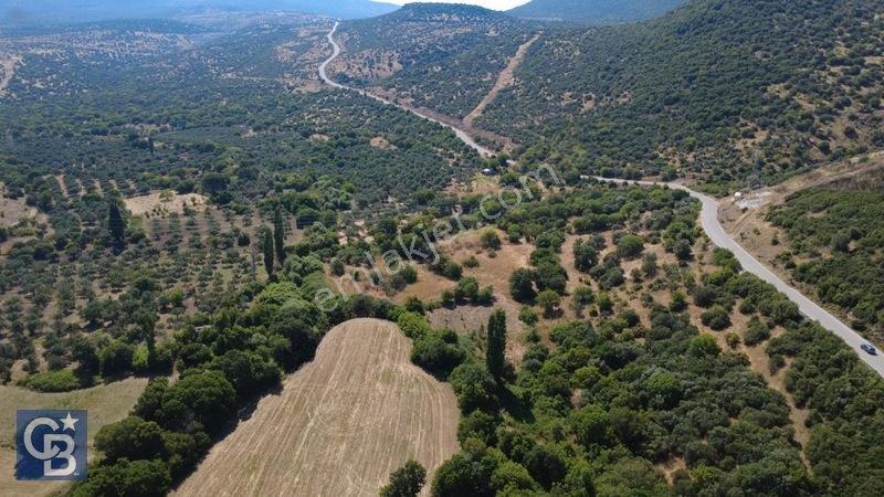 Kalabakta Tek Tapu 2122m2 Satılık Zeytinlik — fotoğraf 3