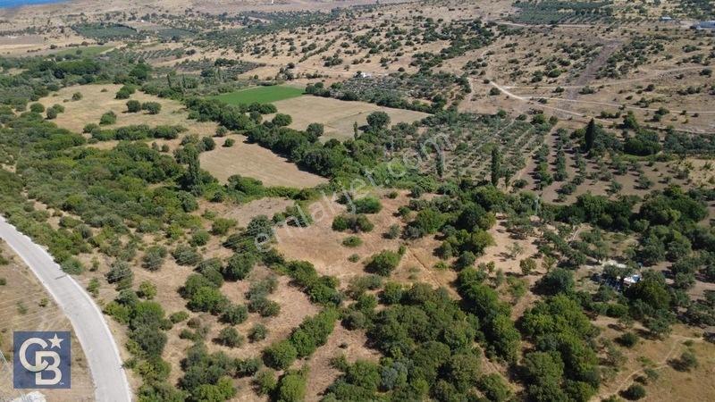 Kalabakta Tek Tapu 2122m2 Satılık Zeytinlik — fotoğraf 7