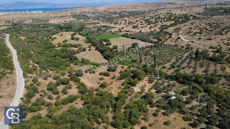 Kalabakta Tek Tapu 2122m2 Satılık Zeytinlik — fotoğraf 8