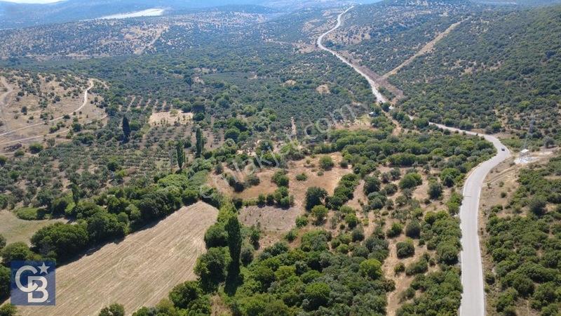 Kalabakta Tek Tapu 2122m2 Satılık Zeytinlik — fotoğraf 10