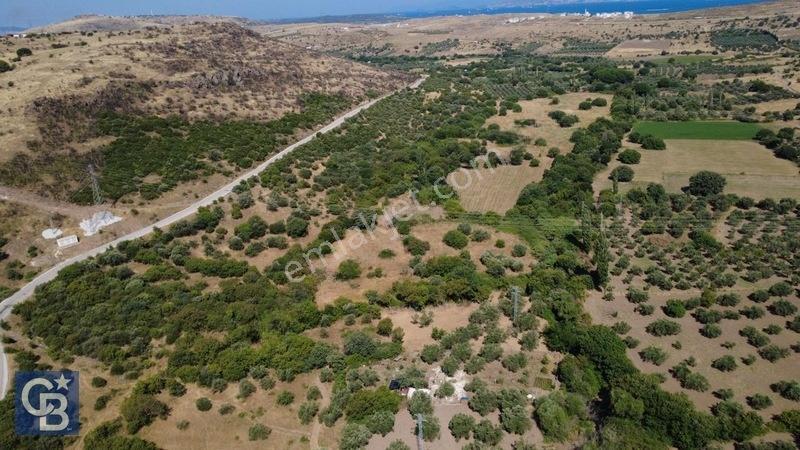 Kalabakta Tek Tapu 2122m2 Satılık Zeytinlik — fotoğraf 11