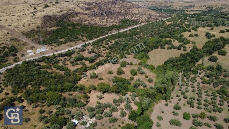 Kalabakta Tek Tapu 2122m2 Satılık Zeytinlik — fotoğraf 12