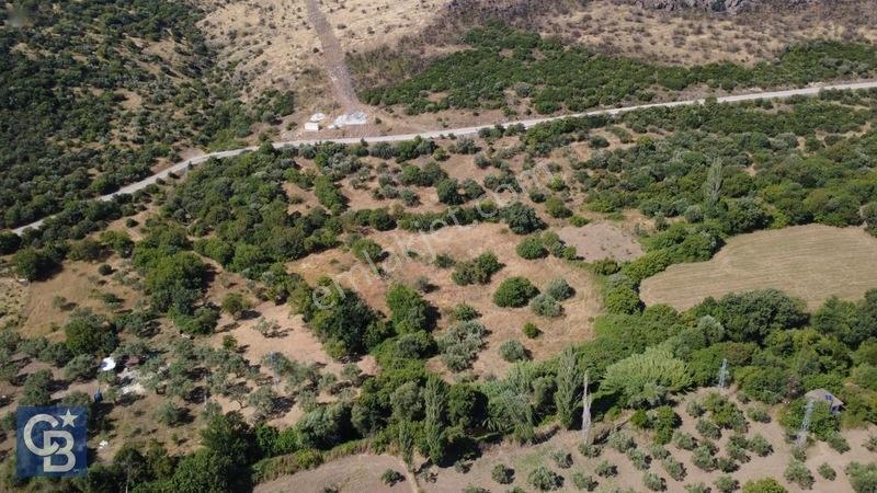 Kalabakta Tek Tapu 2122m2 Satılık Zeytinlik — fotoğraf 14