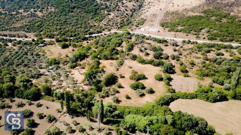 Kalabakta Tek Tapu 2122m2 Satılık Zeytinlik — fotoğraf 16