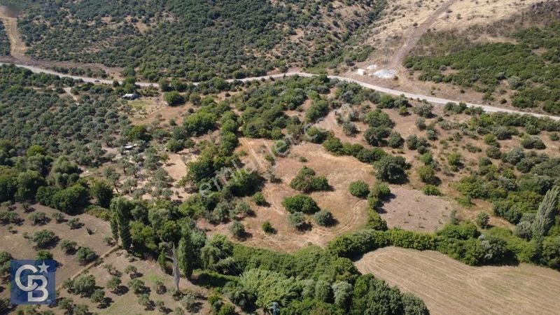 Kalabakta Tek Tapu 2122m2 Satılık Zeytinlik — fotoğraf 17