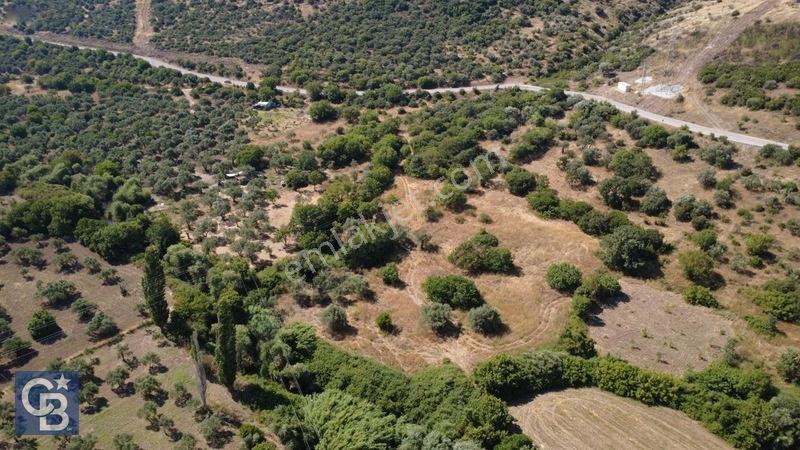 Kalabakta Tek Tapu 2122m2 Satılık Zeytinlik — fotoğraf 20