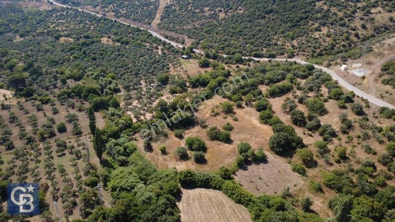 Kalabakta Tek Tapu 2122m2 Satılık Zeytinlik — fotoğraf 23