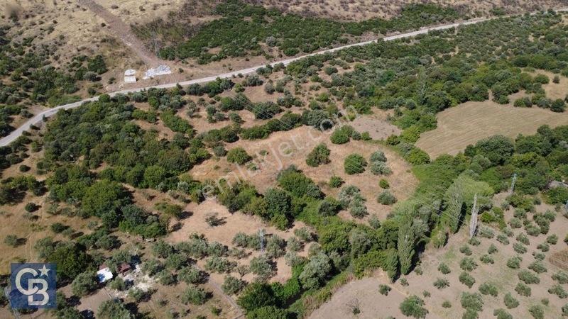Kalabakta Tek Tapu 2122m2 Satılık Zeytinlik — fotoğraf 24