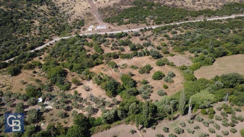 Kalabakta Tek Tapu 2122m2 Satılık Zeytinlik — fotoğraf 26