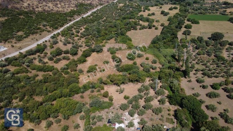 Kalabakta Tek Tapu 2122m2 Satılık Zeytinlik — fotoğraf 27