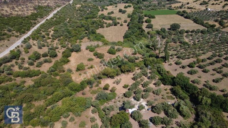 Kalabakta Tek Tapu 2122m2 Satılık Zeytinlik — fotoğraf 28