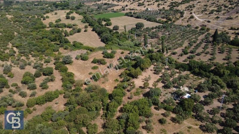 Kalabakta Tek Tapu 2122m2 Satılık Zeytinlik — fotoğraf 30
