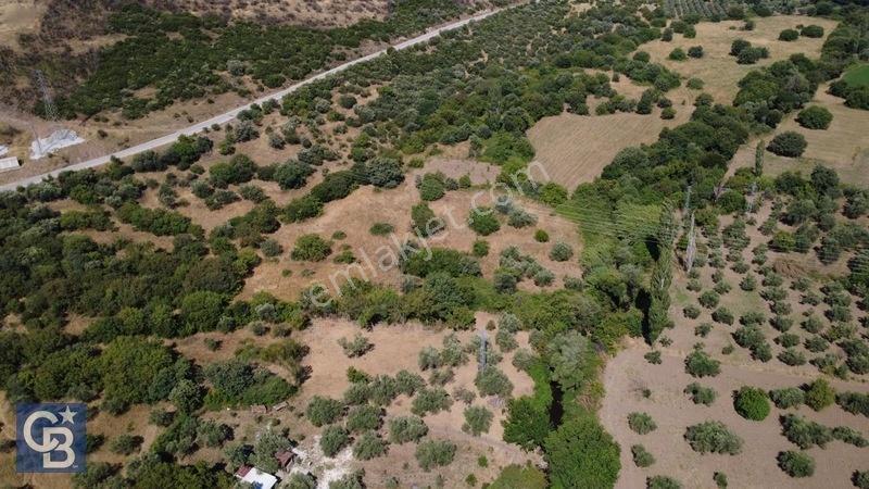 Kalabakta Tek Tapu 2122m2 Satılık Zeytinlik — fotoğraf 31