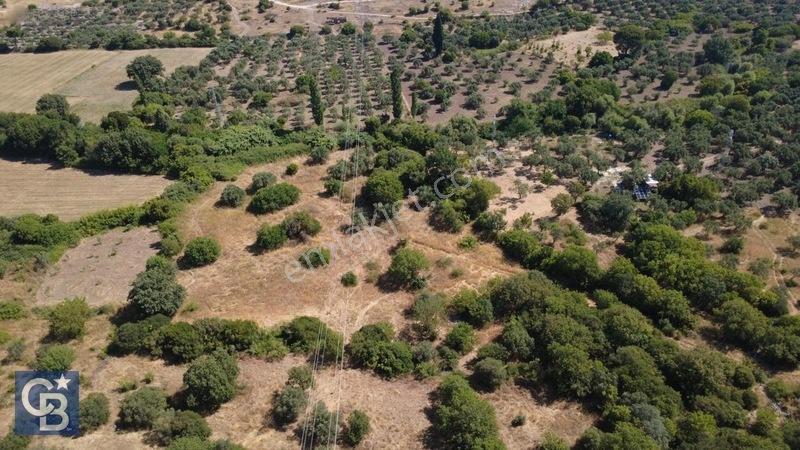 Kalabakta Tek Tapu 2122m2 Satılık Zeytinlik — fotoğraf 32