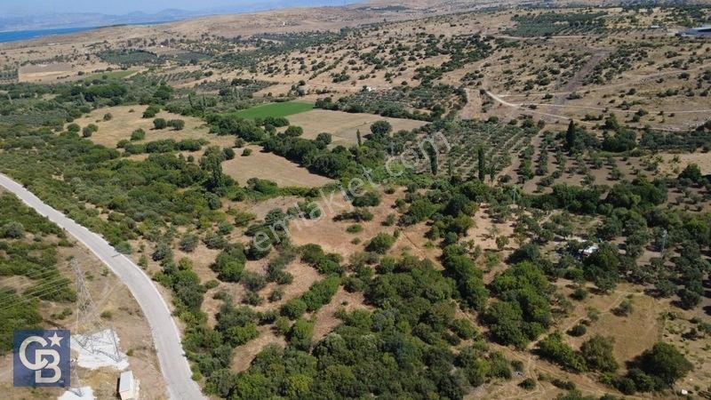 Kalabakta Tek Tapu 2122m2 Satılık Zeytinlik — fotoğraf 34