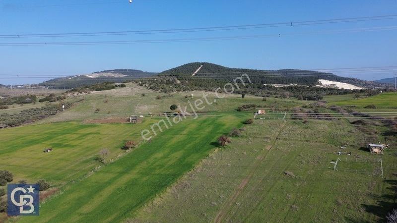 Şehitkemalde 273m2 Satılık Etrafı Çevirili Tarla — fotoğraf 3