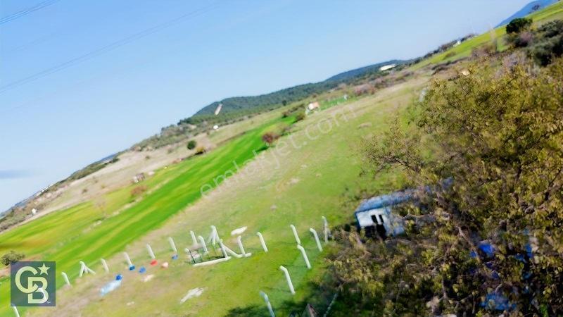 Şehitkemalde 273m2 Satılık Etrafı Çevirili Tarla — fotoğraf 4