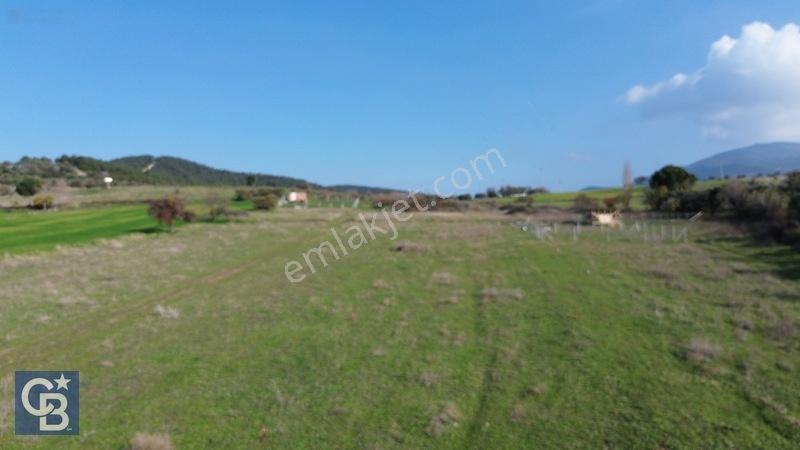 Şehitkemalde 273m2 Satılık Etrafı Çevirili Tarla — fotoğraf 10