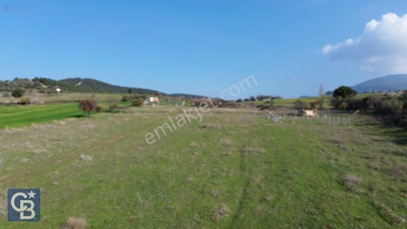 Şehitkemalde 273m2 Satılık Etrafı Çevirili Tarla — fotoğraf 11