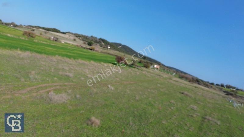 Şehitkemalde 273m2 Satılık Etrafı Çevirili Tarla — fotoğraf 12
