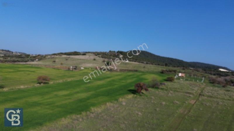Şehitkemalde 273m2 Satılık Etrafı Çevirili Tarla — fotoğraf 13