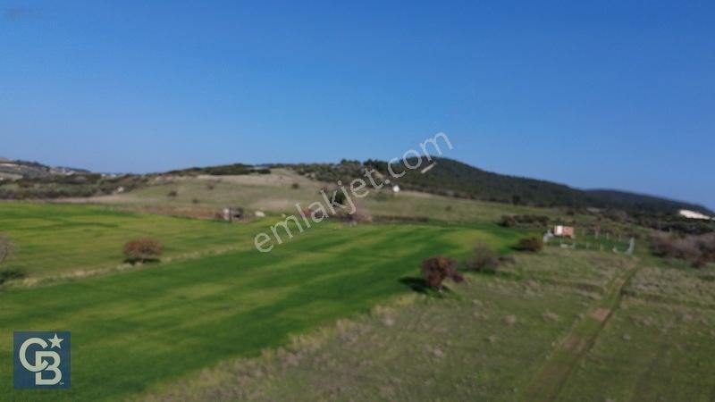 Şehitkemalde 273m2 Satılık Etrafı Çevirili Tarla — fotoğraf 14