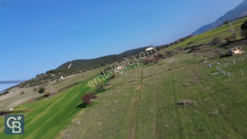 Şehitkemalde 273m2 Satılık Etrafı Çevirili Tarla — fotoğraf 15