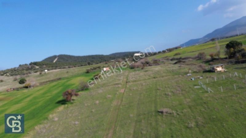 Şehitkemalde 273m2 Satılık Etrafı Çevirili Tarla — fotoğraf 16