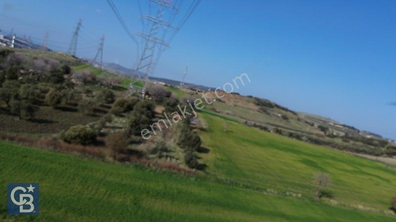 Şehitkemalde 273m2 Satılık Etrafı Çevirili Tarla — fotoğraf 17