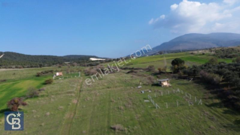 Şehitkemalde 273m2 Satılık Etrafı Çevirili Tarla — fotoğraf 18