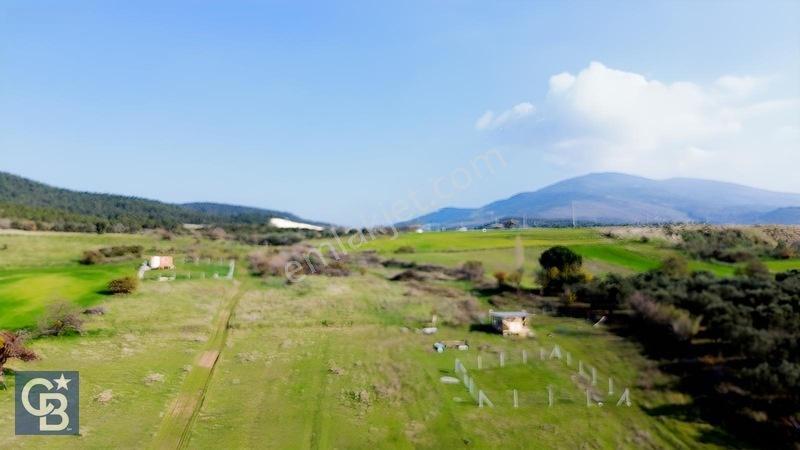 Şehitkemalde 273m2 Satılık Etrafı Çevirili Tarla — fotoğraf 19