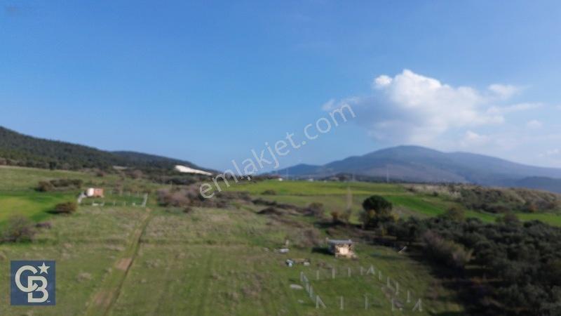Şehitkemalde 273m2 Satılık Etrafı Çevirili Tarla — fotoğraf 20