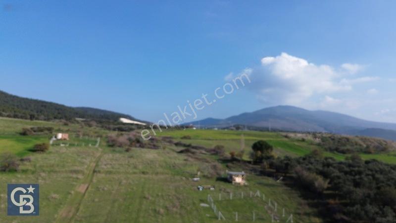 Şehitkemalde 273m2 Satılık Etrafı Çevirili Tarla — fotoğraf 21