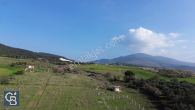 Şehitkemalde 273m2 Satılık Etrafı Çevirili Tarla — fotoğraf 22