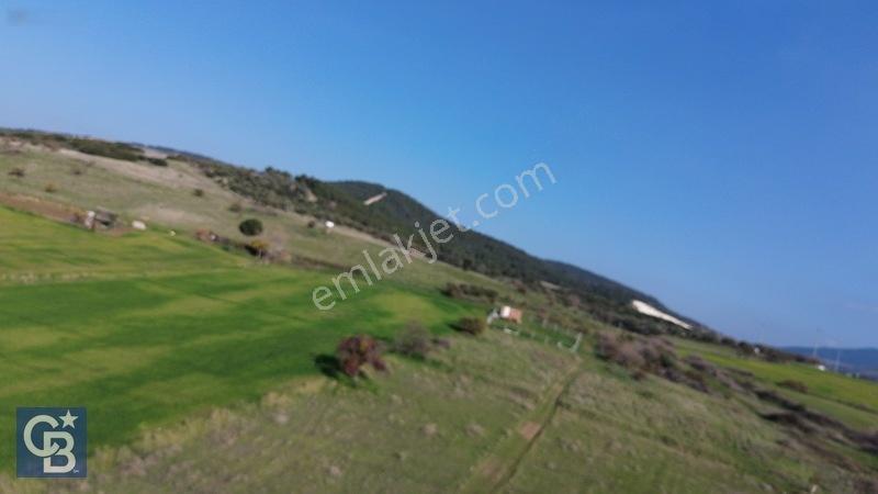 Şehitkemalde 273m2 Satılık Etrafı Çevirili Tarla — fotoğraf 24