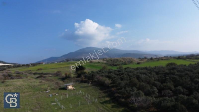 Şehitkemalde 273m2 Satılık Etrafı Çevirili Tarla — fotoğraf 25