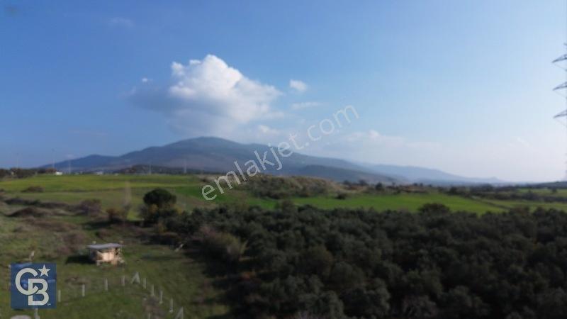 Şehitkemalde 273m2 Satılık Etrafı Çevirili Tarla — fotoğraf 26