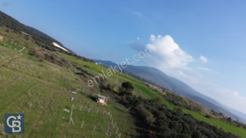 Şehitkemalde 273m2 Satılık Etrafı Çevirili Tarla — fotoğraf 27