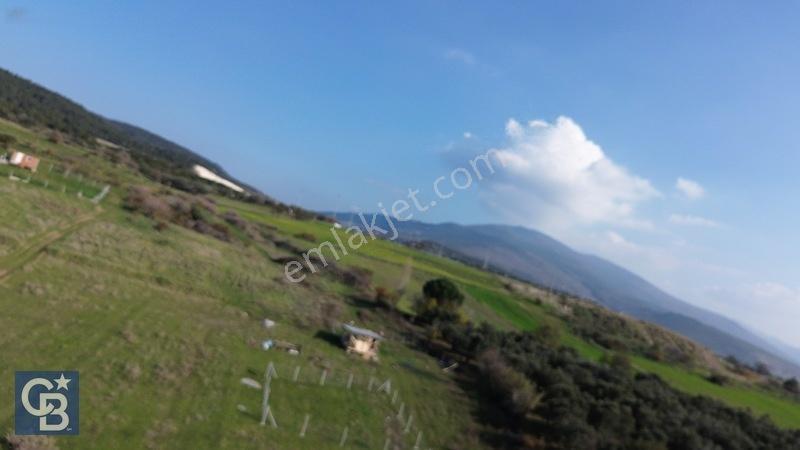 Şehitkemalde 273m2 Satılık Etrafı Çevirili Tarla — fotoğraf 28